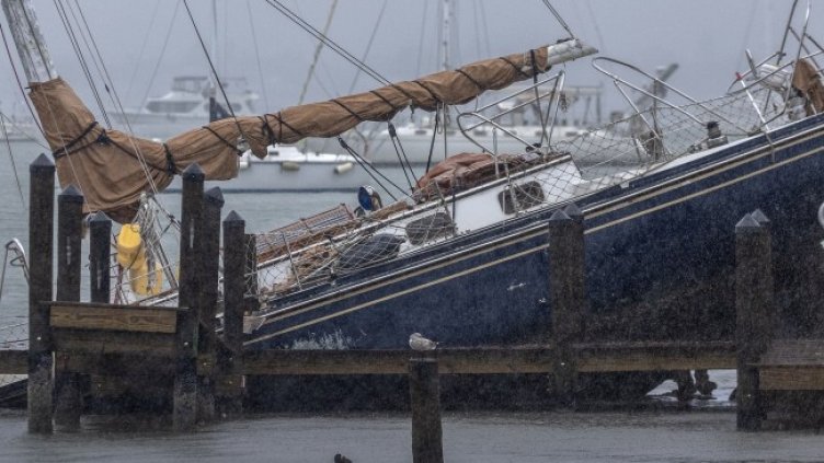 Снимка: архив, БГНЕС