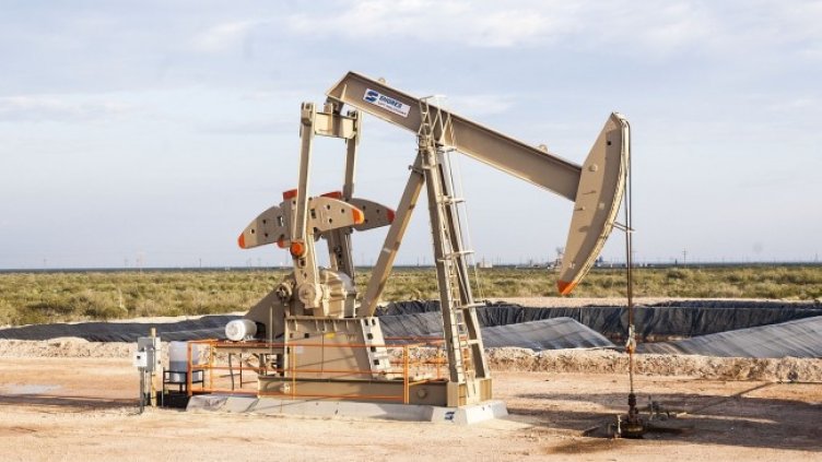 Снимка: Pixabay