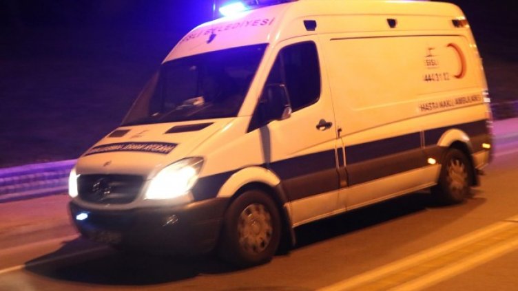 Снимка: архив, БГНЕС