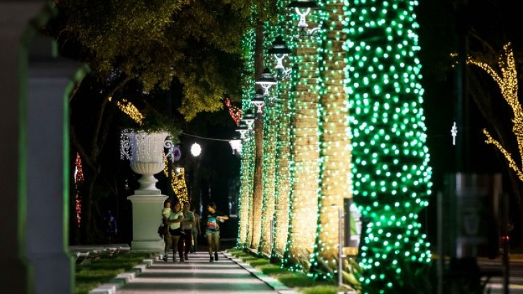 Снимка: архив, БГНЕС