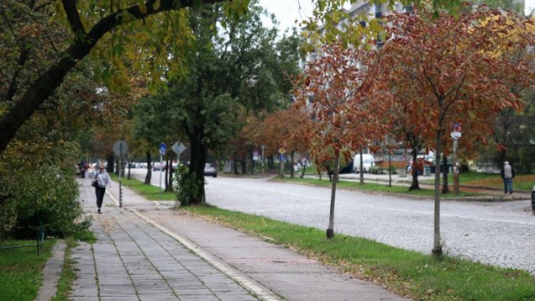 Снимка: БГНЕС