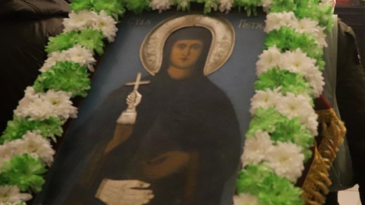 Снимка: архив, БГНЕС