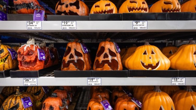 Снимка: ЕПА/БГНЕС