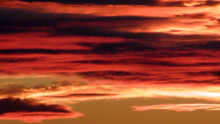 Снимка БГНЕС, архив