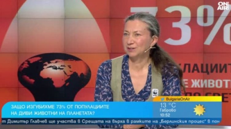 Снимка: Bulgaria ON AIR