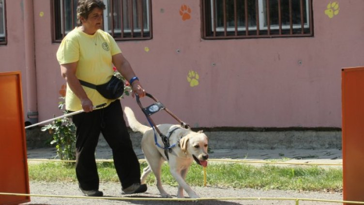 Снимка БГНЕС, архив