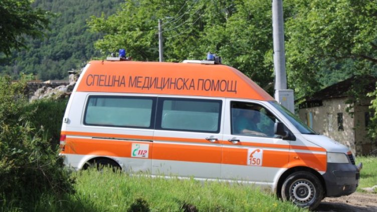 Снимка: БГНЕС