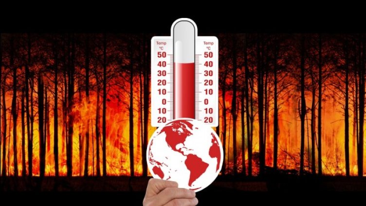 Снимка: Pixabay