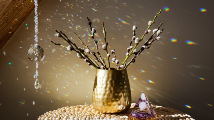 Снимка: Istock