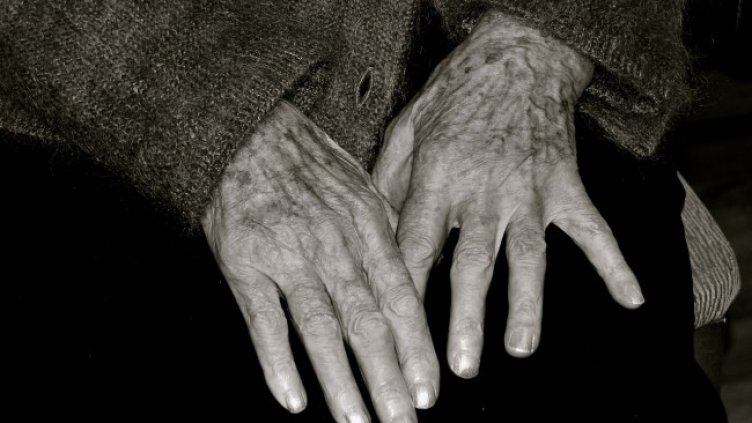 Снимка: Pixabay