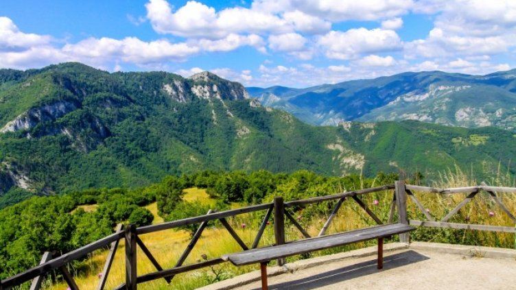 Снимка: Pixabay