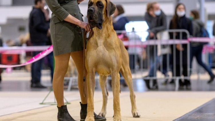 Снимка: архив, БГНЕС