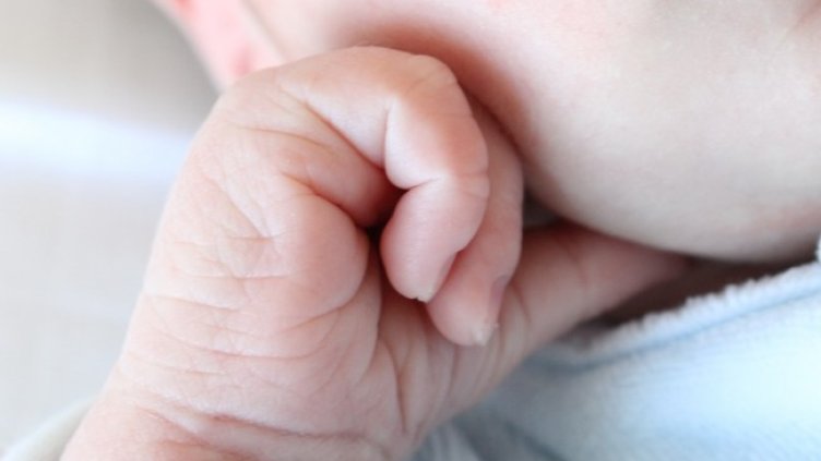 Снимка: Pixabay