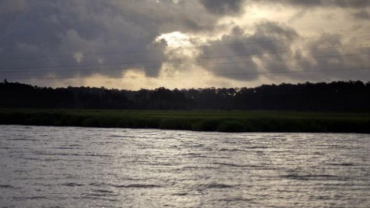 Снимка БГНЕС, архив