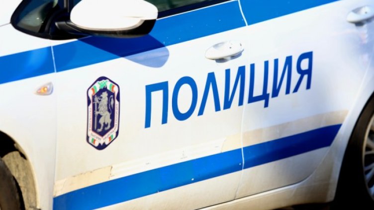 Снимка: архив, БГНЕС