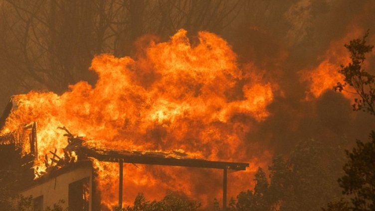 Снимка: архив, БГНЕС