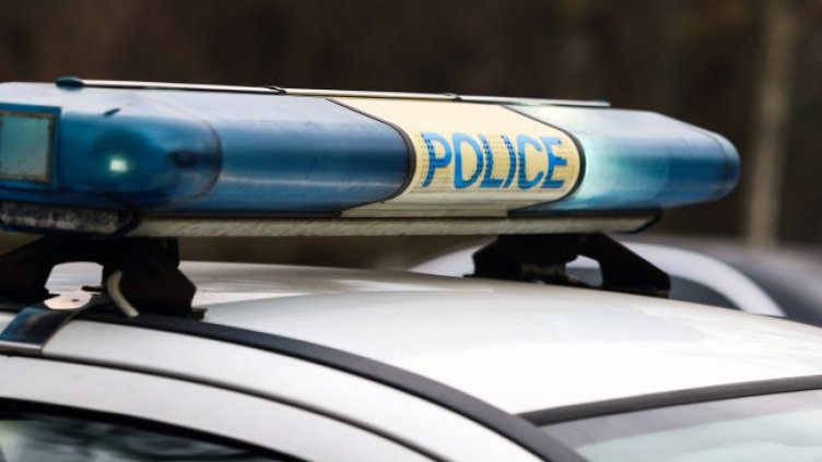 Снимка: архив, БГНЕС