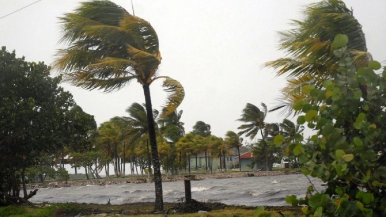 Снимка: ЕПА/БГНЕС