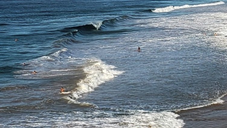 Снимка: архив, БГНЕС