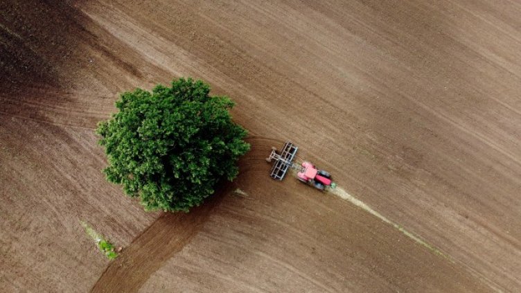 Снимка: архив, БГНЕС