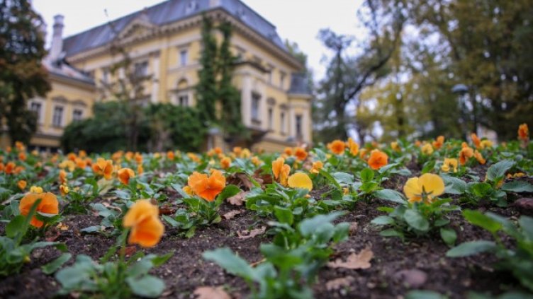 Снимка: БГНЕС