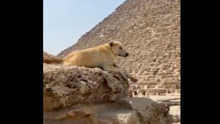 Снимка: Twitter