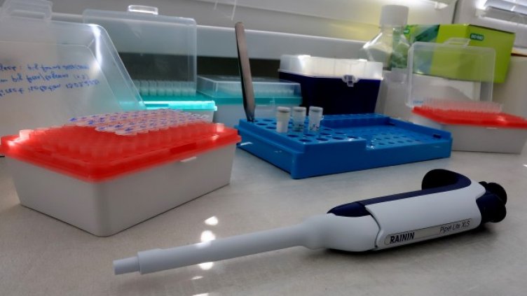 Снимка: архив, БГНЕС