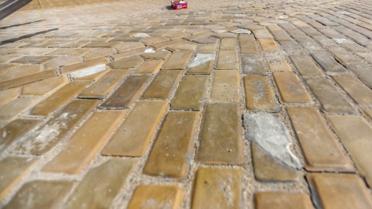 Снимка: Димитър Кьосемарлиев, Dnes.bg