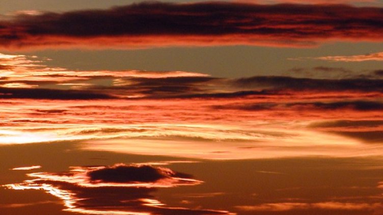 Снимка БГНЕС, архив