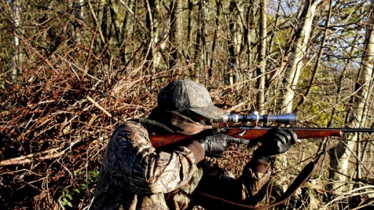 Снимка: Pixabay