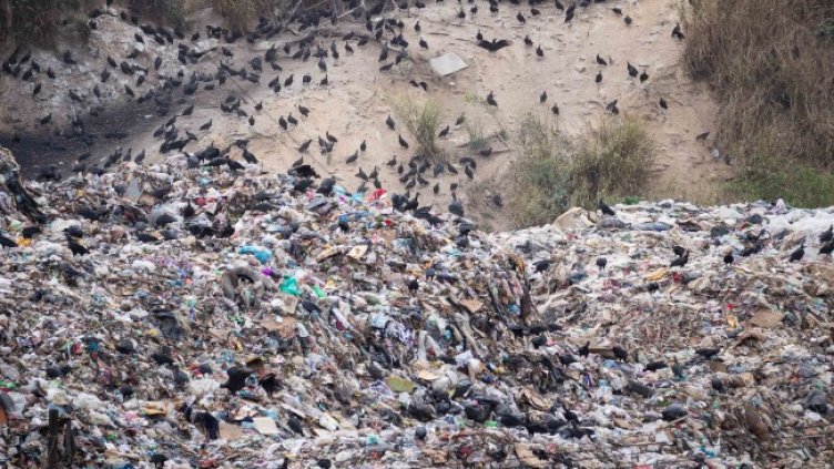 Снимка: архив, БГНЕС