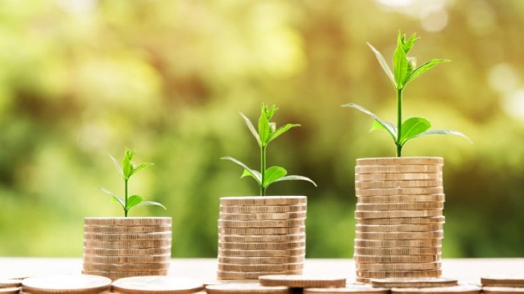 Снимка: Pixabay/nattanan23