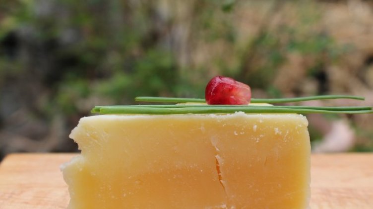 Снимка: Pixabay