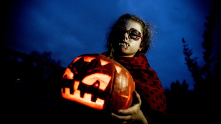 Снимка: архив, БГНЕС