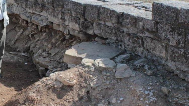 Снимка: БГНЕС, архив