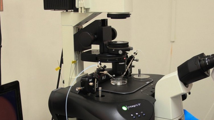 Снимка: архив, БГНЕС