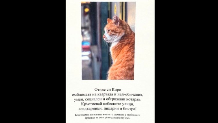 Снимка: БГНЕС