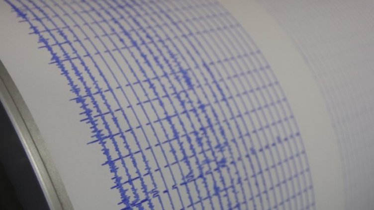 Снимка: архив, БГНЕС