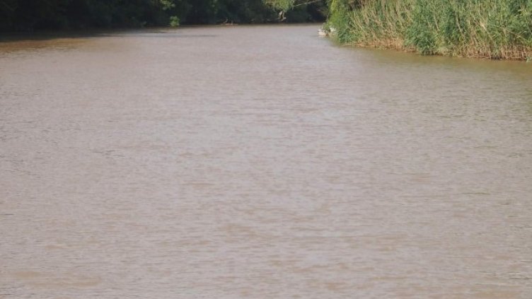 Снимка: БГНЕС, архив