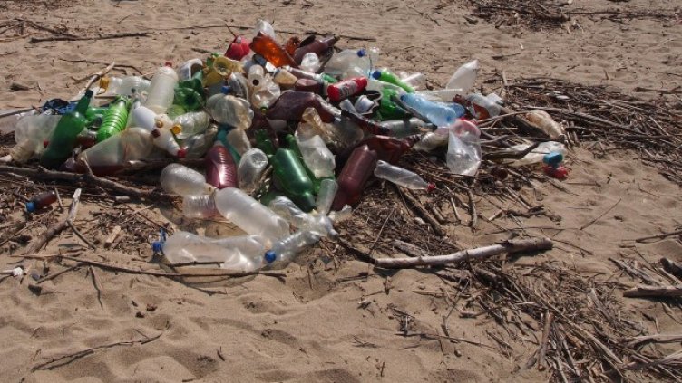 Снимка: БГНЕС, архив