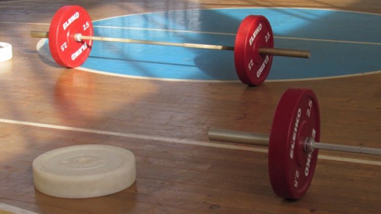 Снимка: архив, БГНЕС