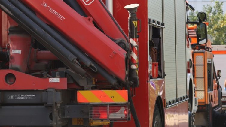 Снимка: архив, БГНЕС