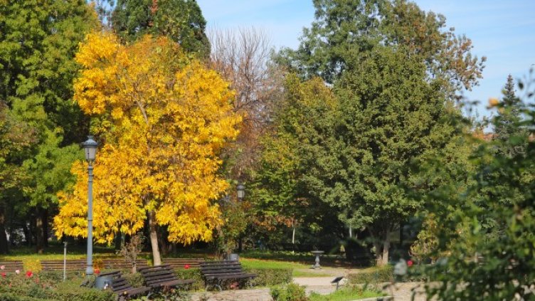 Снимка: БГНЕС