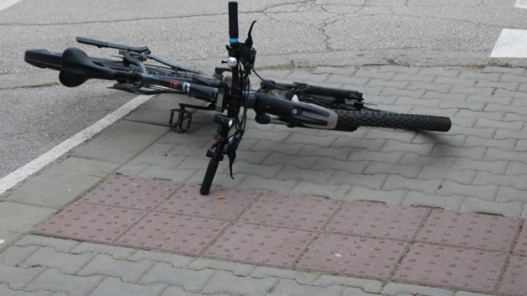 Снимка: БГНЕС, архив