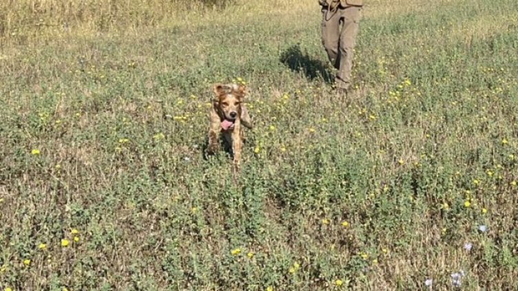 Снимка: архив, БГНЕС
