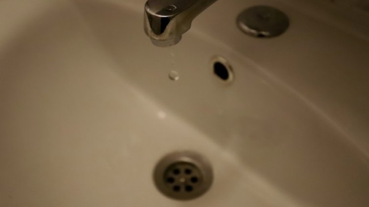 Снимка БГНЕС, архив