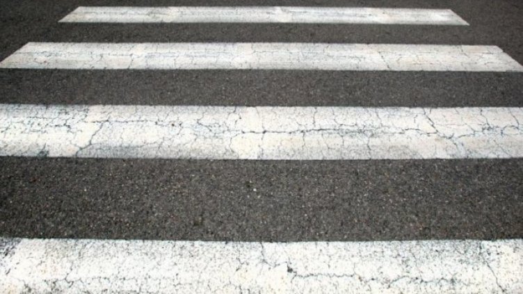 Снимка БГНЕС, архив