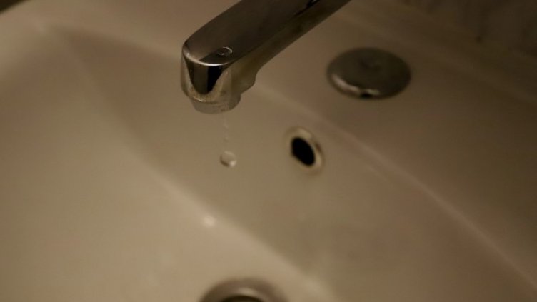 Снимка БГНЕС, архив