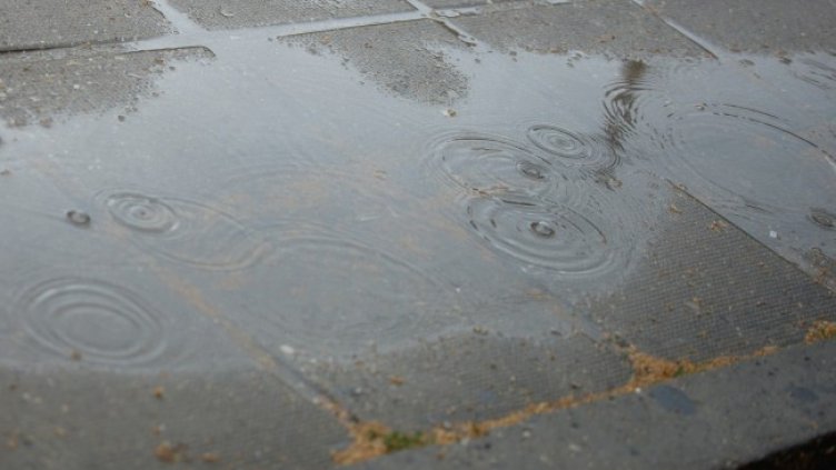 Снимка: архив, БГНЕС