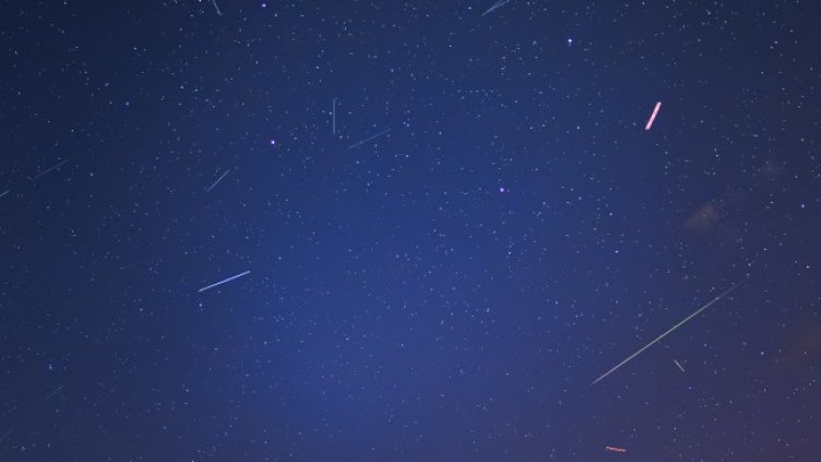 Снимка: архив, БГНЕС